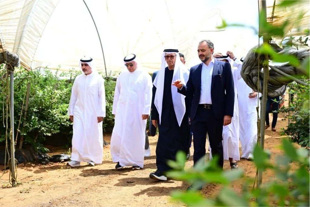 “إيليت أجرو القابضة” تعزز حضورها الزراعي في المغرب باستثمارات 500 مليون درهم